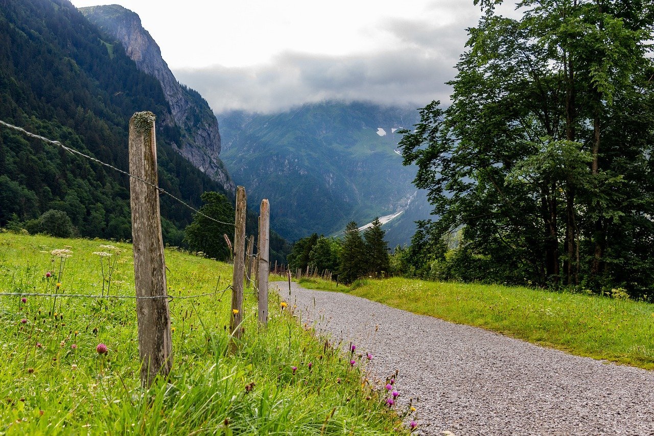 green, meadow, mountains-8534434.jpg